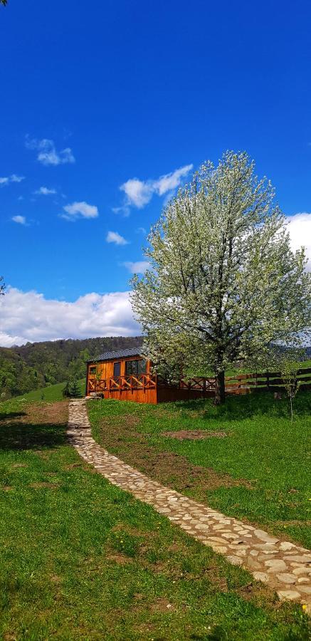 Camping Casuta De Sub Cires