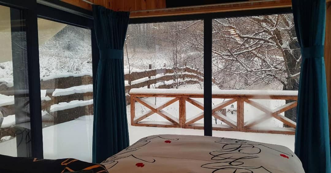 Casuta De Sub Cires * Piatra Neamţ